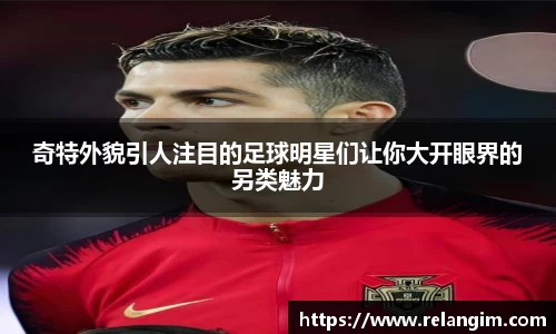 BB贝博登录入口