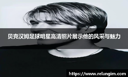 BB贝博登录入口